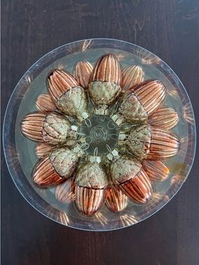 NEW!! 24 pieces Glass Acorn Ornaments - Antique Gold Glitter and Antique Copper